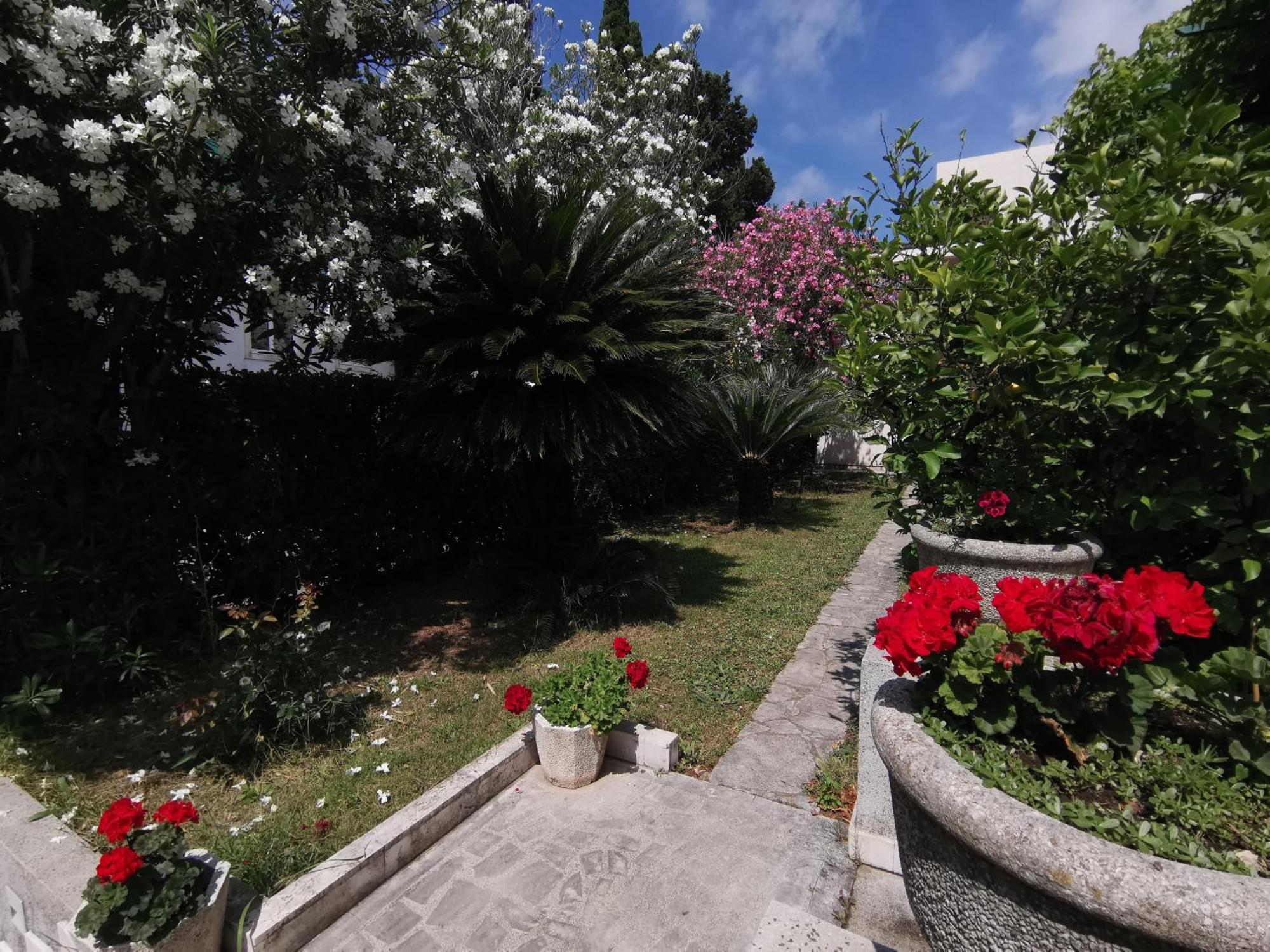 Apartments Maris Garden Petrovac Exterior foto