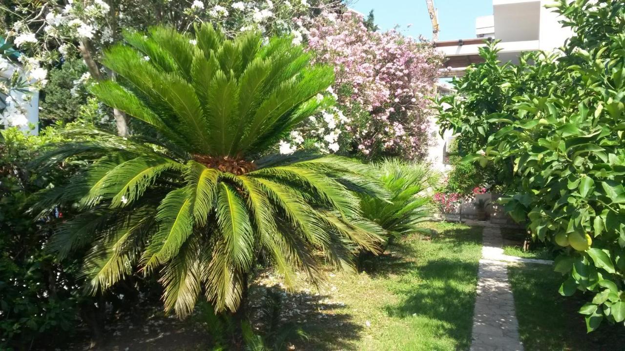 Apartments Maris Garden Petrovac Exterior foto